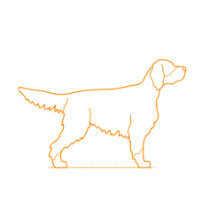Animals Dogs Gordon Setter Vinyl Svg File, Free Vectors File